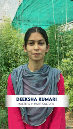 Eternal University Pioneers Sustainable Farming – Boosting Cherry Tomato Growth with Nano Fertilizers