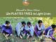 Lighting Lives, Not Just Lamps – Eternal University’s Green Diwali Celebration