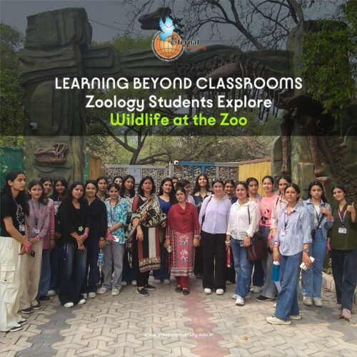 Into the Wild – Eternal University Students Turn a Zoo Visit into a Living Classroom